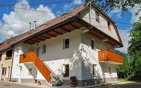 Apartments Zornik
